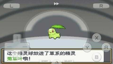 口袋妖怪魂银中文版(2)