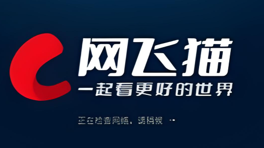 网飞猫软件下载大全
