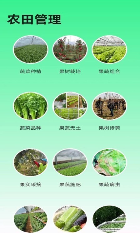 绿色农场(1)