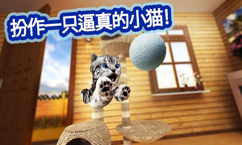 迷你小猫城市生存(2)