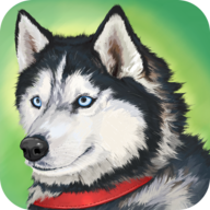 美国Zoom动物 V1.0.0.5