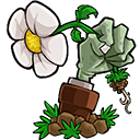 植物大战僵尸e版最新版