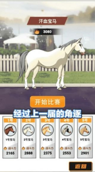 驯马大师图3