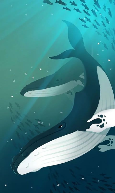 深海水族馆(2)