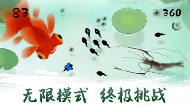 墨虾探蝌图3