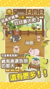 养猪场mix最新版图2