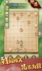 象棋大师(4)