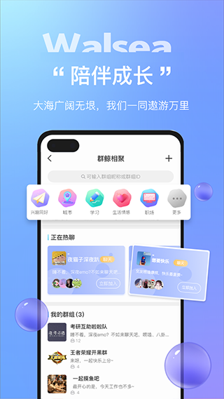 Walsea女性社交2