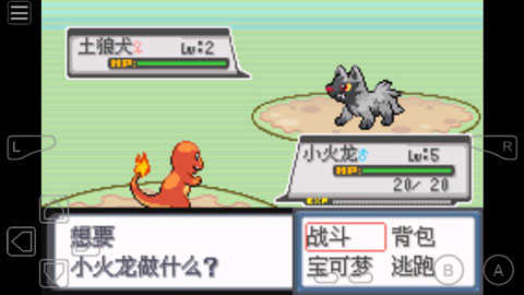 口袋妖怪白金光2.0汉化版(3)