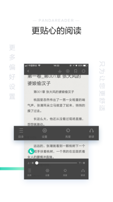 熊猫看书(4)