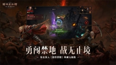 暗黑破坏神：不朽官服(4)