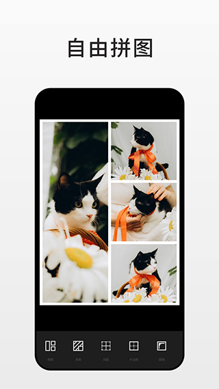 fotor安卓版图2