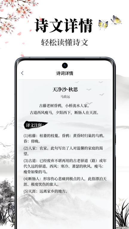雅歌图3