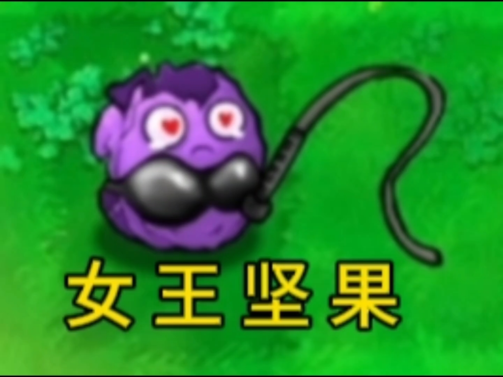 植物大战僵尸逆天版(5)