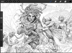 procreate免费手机版图2