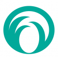 五岳阅卷2.1.3