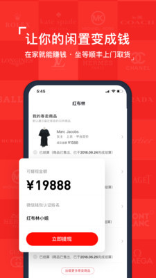 红布林(4)