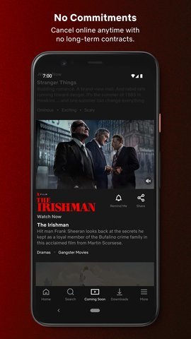 网飞netflix截图3
