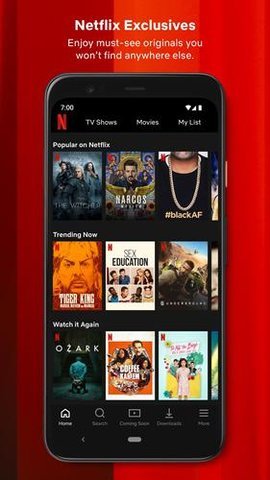 网飞netflix截图2