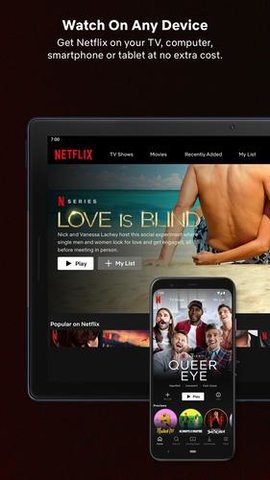 网飞netflix截图4