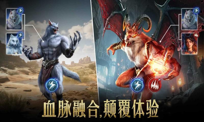 传承：利萨斯英雄(2)