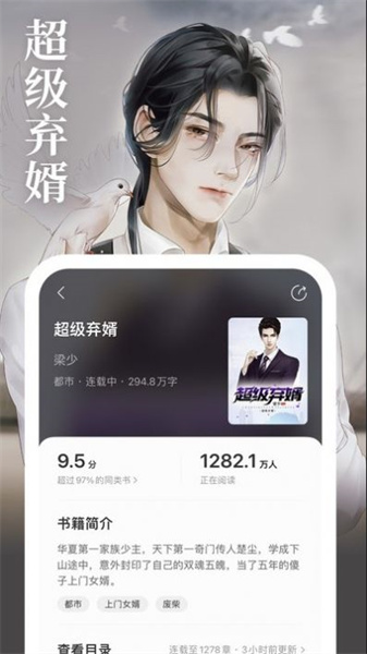 琅阅小说(2)