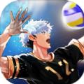 thespike排球 V4.3.1