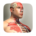 放置人类 V1.15