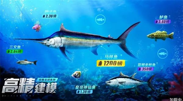 野外钓鱼大师1