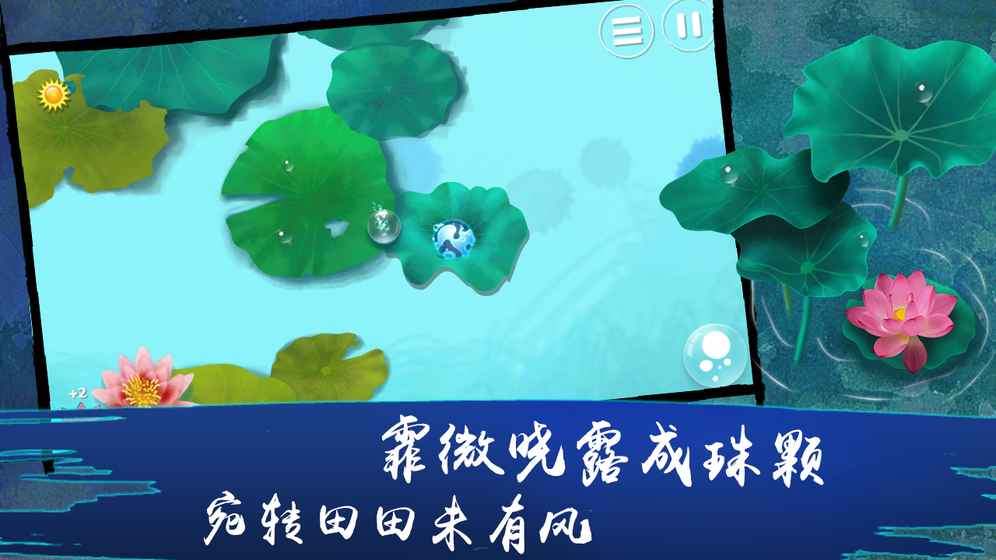 荷露图4