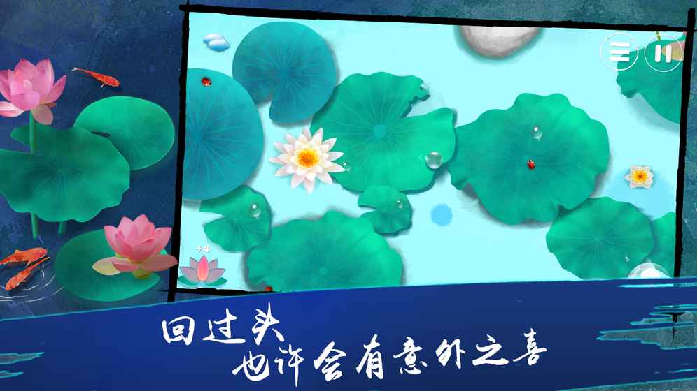 荷露图2