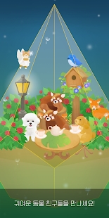 我的小小玻璃花园1