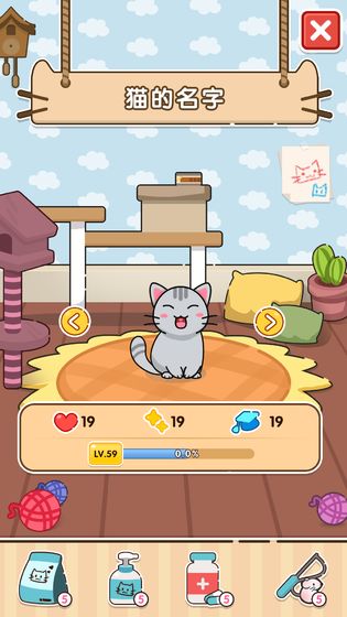 猫咪小舍图2