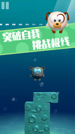 我不叫猪头三(3)