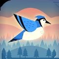 有弹性的鸟V1.0.5
