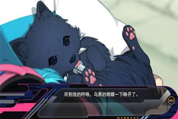 dmmd截图2