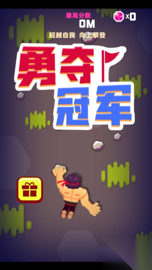 勇夺冠军图3