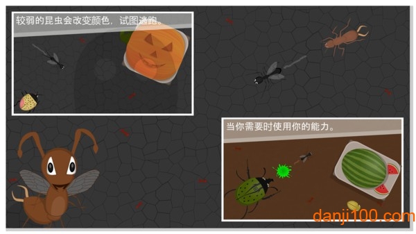 蚂蚁进化世界游戏图1