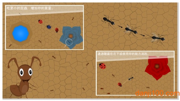 蚂蚁进化世界游戏图2