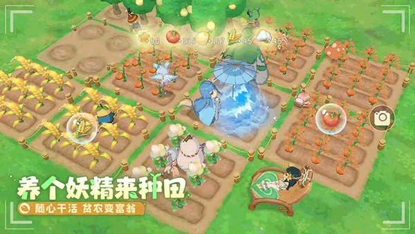 织梦森林图4