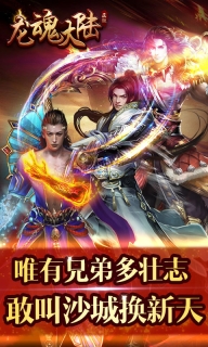 龙魂大陆图1