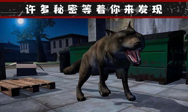 我的流浪生涯图3