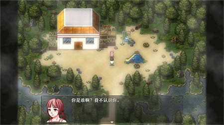 残世界的鸢尾花图3