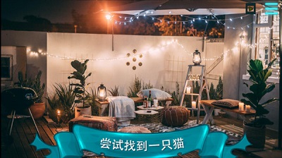 寻找猫2图3