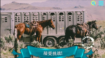 寻找猫2图2