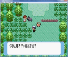 口袋妖怪蓝宝石图3