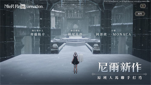 尼尔康乃馨图2