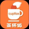 茶杯狐cupfox最新版