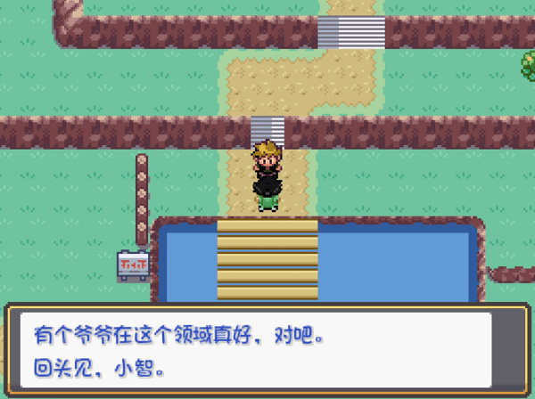 口袋妖怪燃之智手机版图1