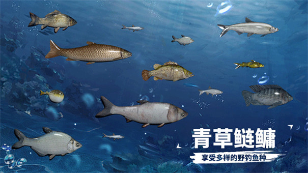 天天钓鱼图2